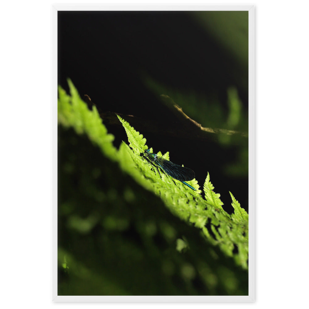 Poster mit Rahmen - Grüne Libelle Kuratoren von artlia Weiß / 61×91 cm artlia