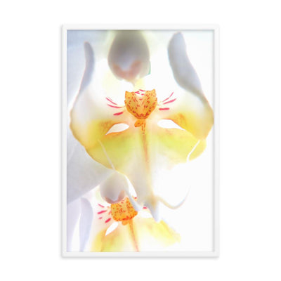 Poster - Yellow Orchid Kuratoren von artlia artlia