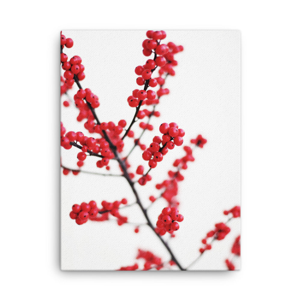 Red Berries - Leinwand Kuratoren von artlia 30x41 cm artlia