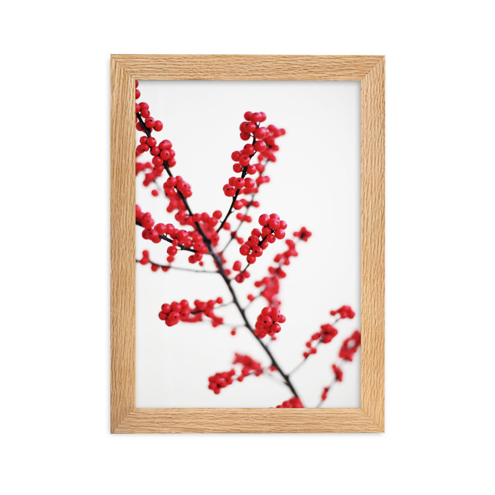 Red Berries - Poster im Rahmen Kuratoren von artlia Oak / 21×30 cm artlia