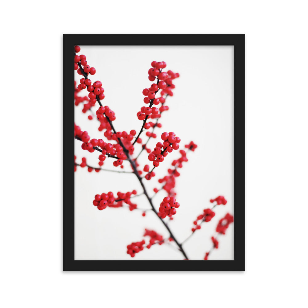 Red Berries - Poster im Rahmen Kuratoren von artlia Schwarz / 30×40 cm artlia