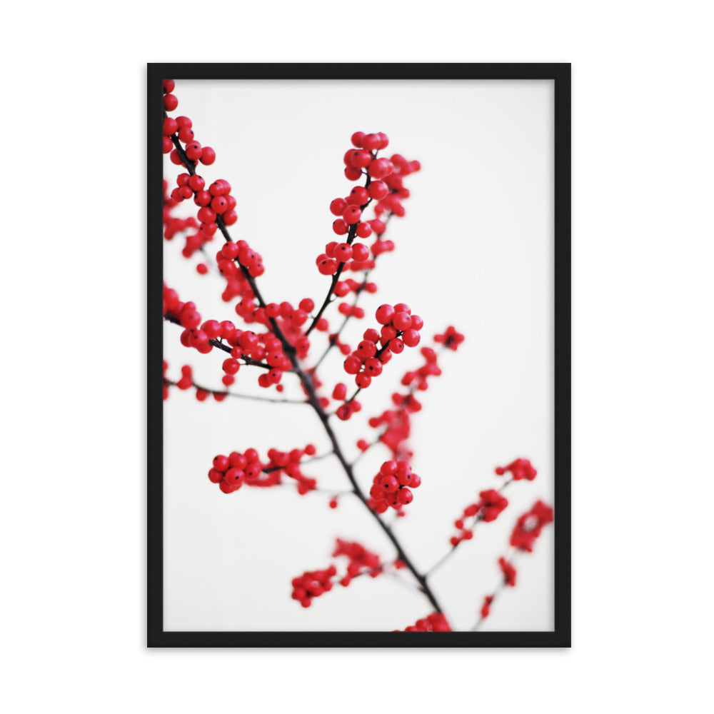 Red Berries - Poster im Rahmen Kuratoren von artlia Schwarz / 50×70 cm artlia