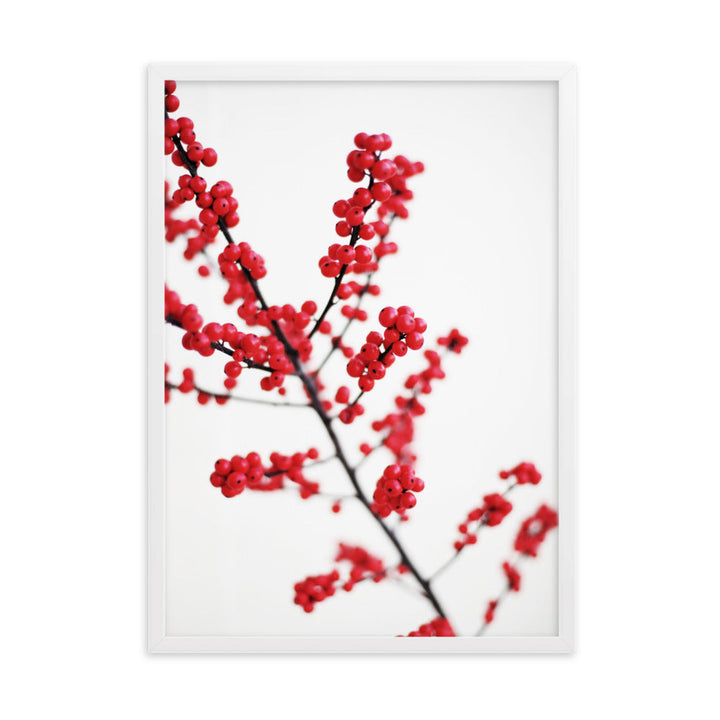 Red Berries - Poster im Rahmen Kuratoren von artlia Weiß / 50×70 cm artlia
