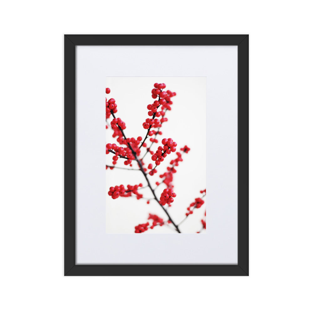 Red Berries - Poster im Rahmen mit Passepartout Kuratoren von artlia Schwarz / 30×40 cm artlia