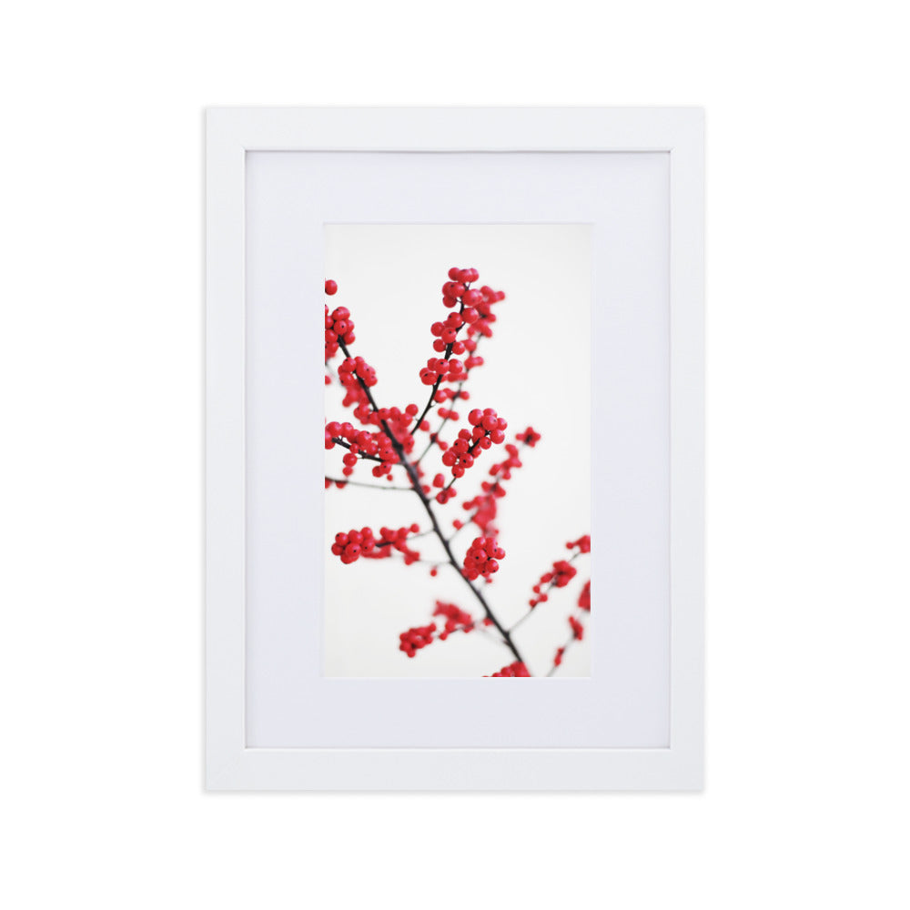 Red Berries - Poster im Rahmen mit Passepartout Kuratoren von artlia Weiß / 21×30 cm artlia