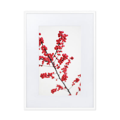 Red Berries - Poster im Rahmen mit Passepartout Kuratoren von artlia Weiß / 50×70 cm artlia