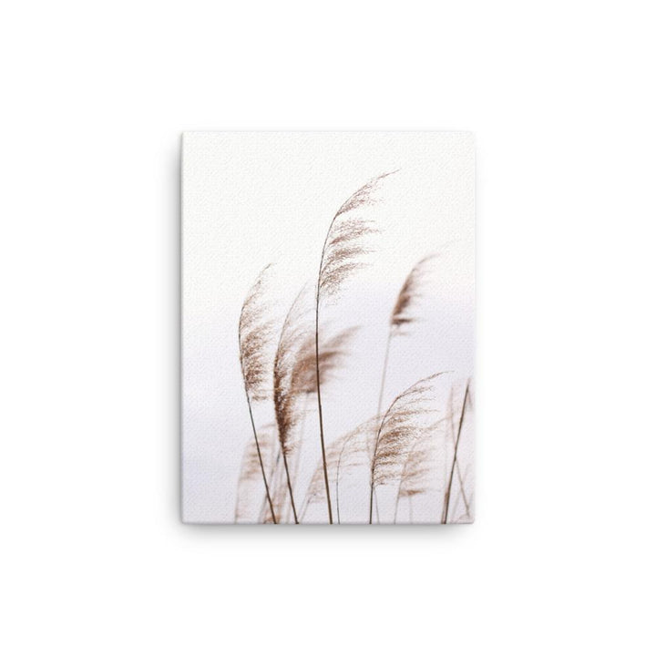 Reeds 01 - Leinwand artlia 12″×16″ artlia