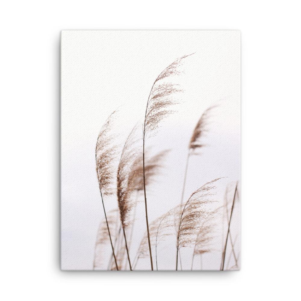 Reeds 01 - Leinwand artlia 18″×24″ artlia
