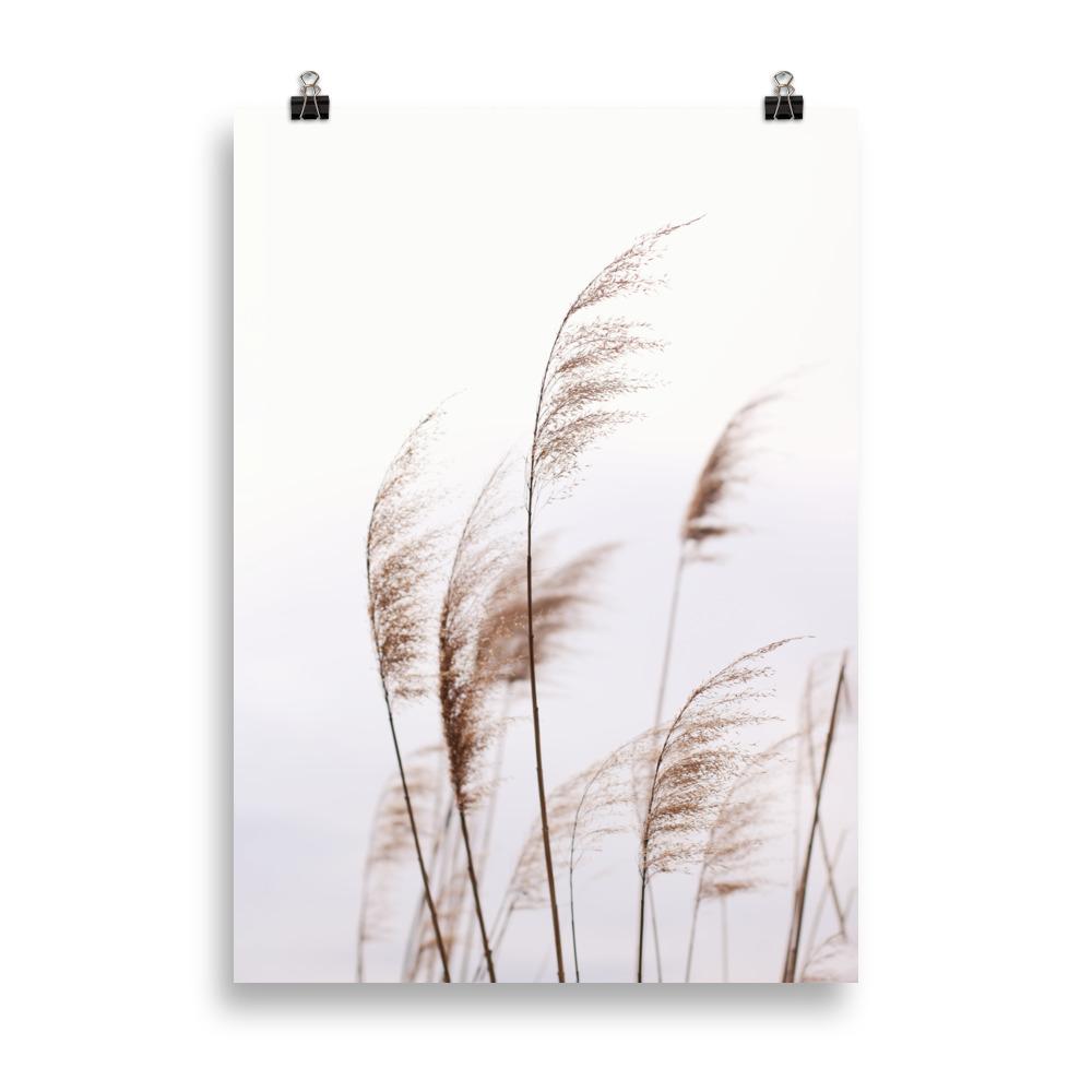 Reeds 01 - Poster artlia 50×70 cm artlia