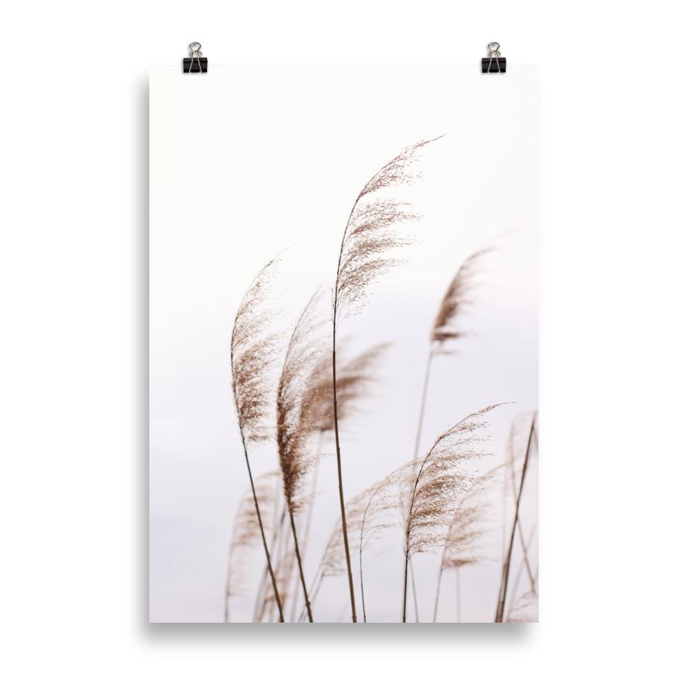 Reeds 01 - Poster artlia 70×100 cm artlia
