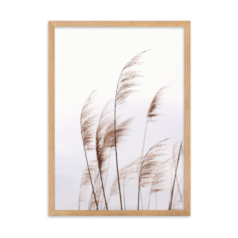 Reeds 01 - Poster im Rahmen artlia Oak / 50×70 cm artlia