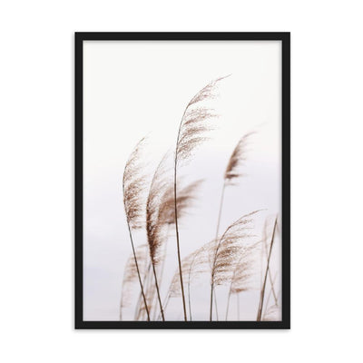 Reeds 01 - Poster im Rahmen artlia Schwarz / 50×70 cm artlia