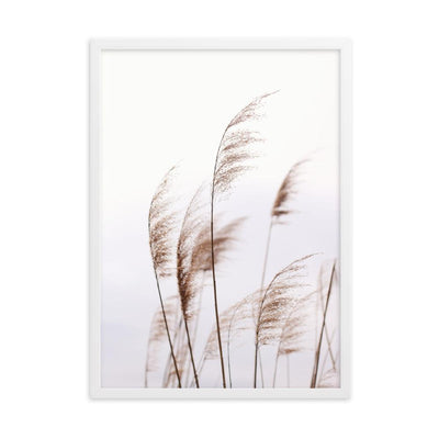 Reeds 01 - Poster im Rahmen artlia Weiß / 50×70 cm artlia