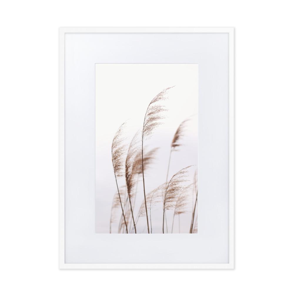 Reeds 01 - Poster im Rahmen mit Passepartout artlia Weiß / 50×70 cm artlia