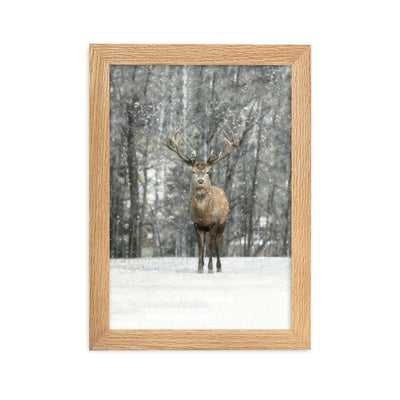 Rotwild im Schnee - Poster im Rahmen artlia Oak / 21×30 cm artlia