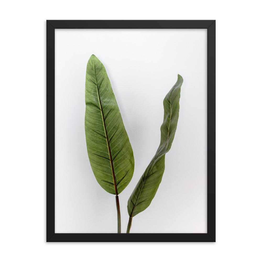 Tropical Leaves - Poster im Rahmen Kuratoren von artlia schwarz / 30x41 cm artlia