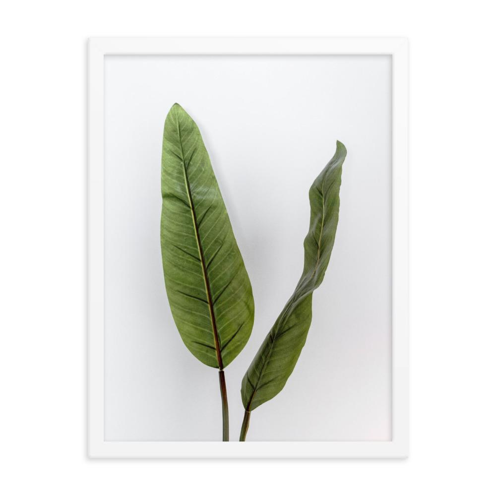 Tropical Leaves - Poster im Rahmen Kuratoren von artlia weiß / 30x41 cm artlia