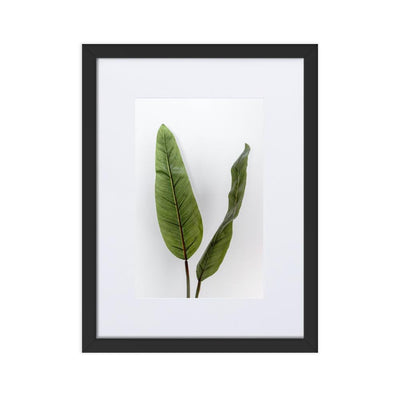 Tropical Leaves - Poster im Rahmen mit Passepartout Kuratoren von artlia schwarz / 30×40 cm artlia
