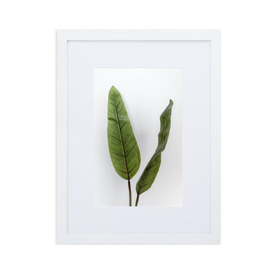 Tropical Leaves - Poster im Rahmen mit Passepartout Kuratoren von artlia weiß / 30×40 cm artlia