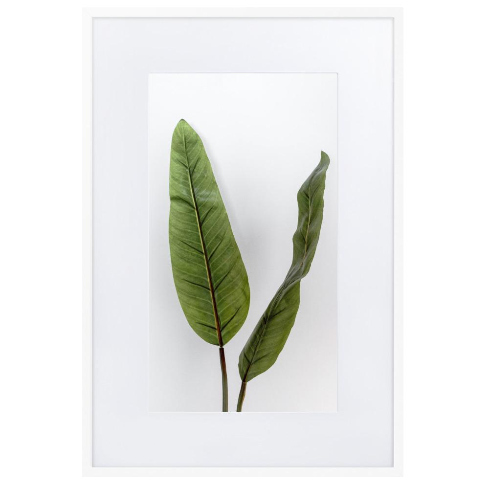 Tropical Leaves - Poster im Rahmen mit Passepartout Kuratoren von artlia weiß / 61×91 cm artlia