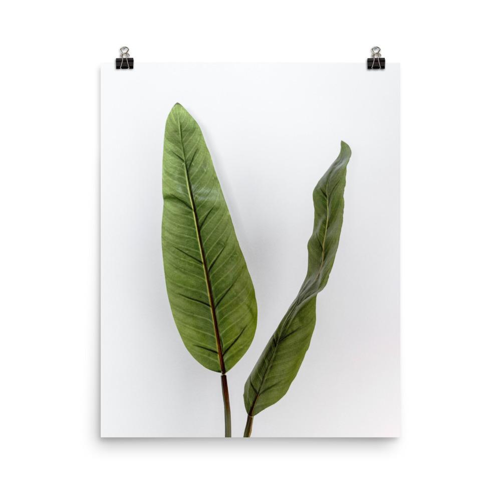 Tropical Leaves - Poster Kuratoren von artlia 41x51 cm artlia