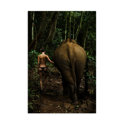 Walking into the Jungle - Postkarte Kuratoren von artlia artlia