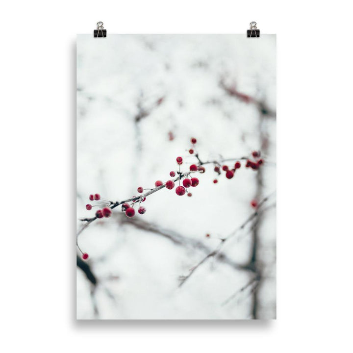 Winterbeeren Winterberries - Poster artlia 70×100 cm artlia