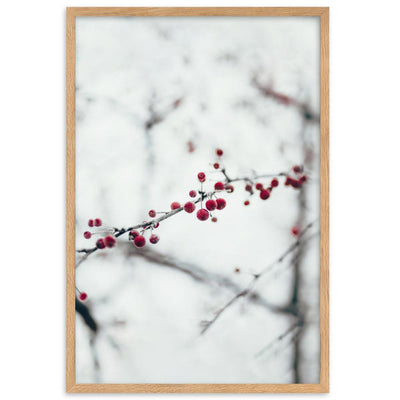Winterbeeren Winterberries - Poster im Rahmen artlia Oak / 61×91 cm artlia
