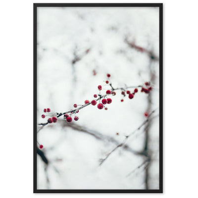 Winterbeeren Winterberries - Poster im Rahmen artlia Schwarz / 61×91 cm artlia