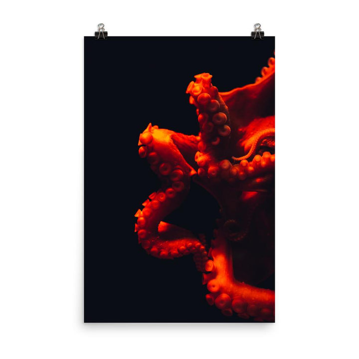 Wütender Oktopus - Poster artlia 30x45 cm artlia