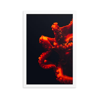 Wütender Oktopus - Poster im Rahmen artlia Weiß / 12×18 artlia