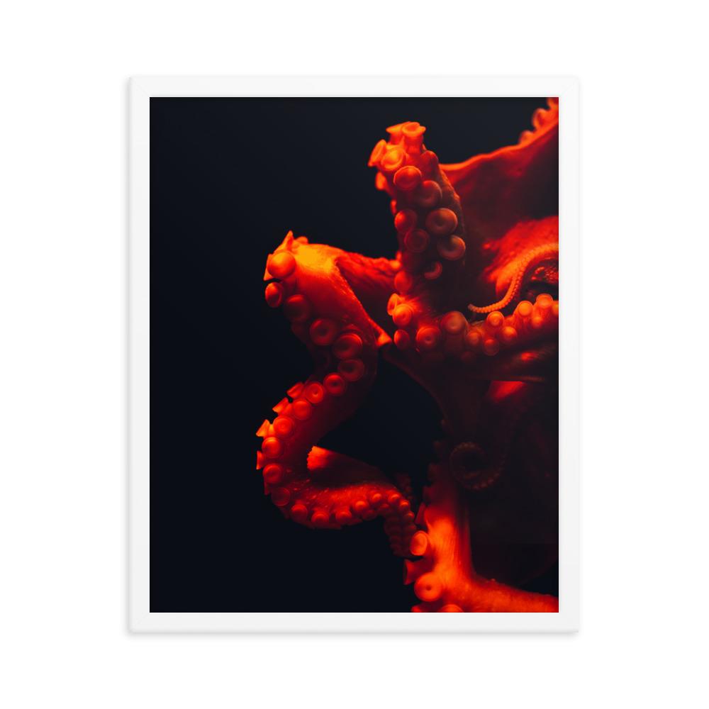 Wütender Oktopus - Poster im Rahmen artlia Weiß / 16×20 artlia