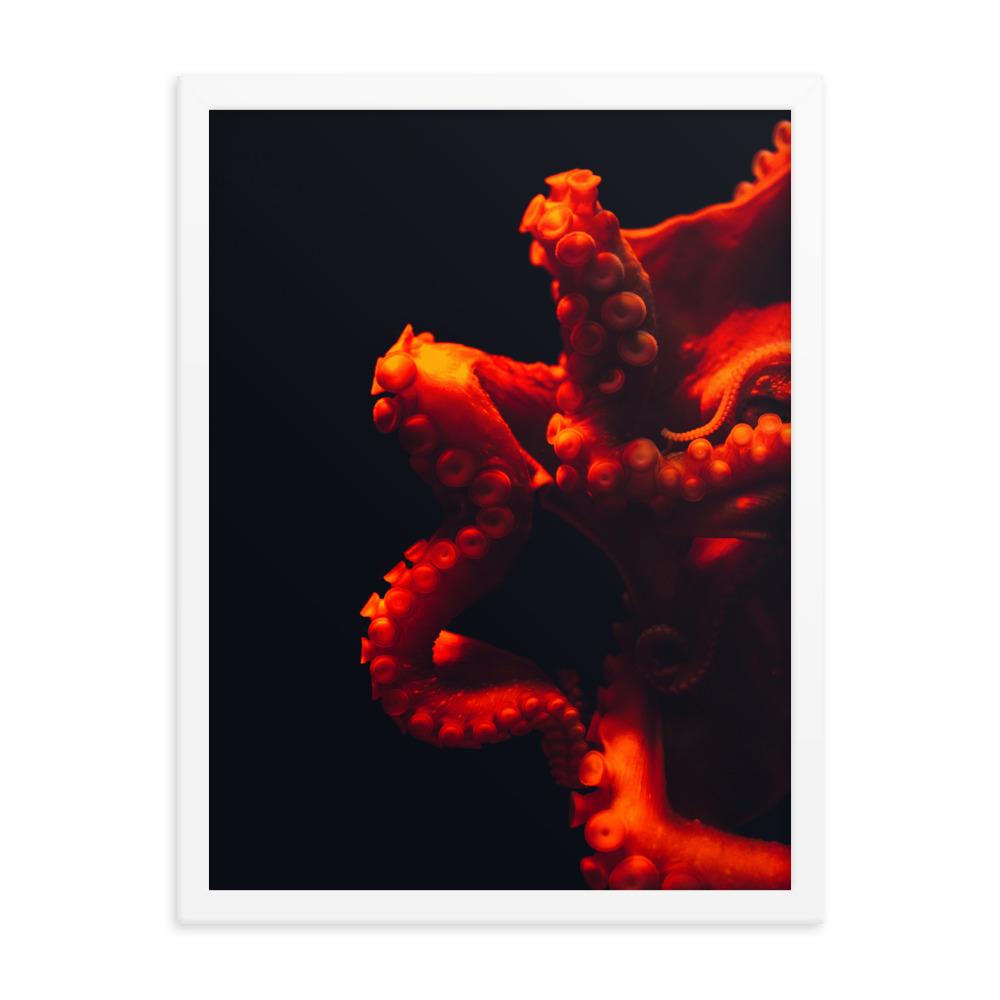 Wütender Oktopus - Poster im Rahmen artlia Weiß / 18×24 artlia