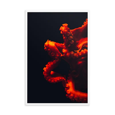 Wütender Oktopus - Poster im Rahmen artlia Weiß / 24×36 artlia