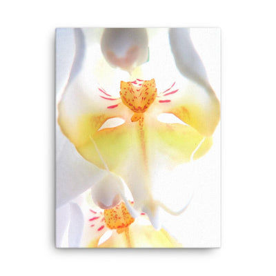 Yellow Orchid - Leinwand Kuratoren von artlia 30x41 cm artlia