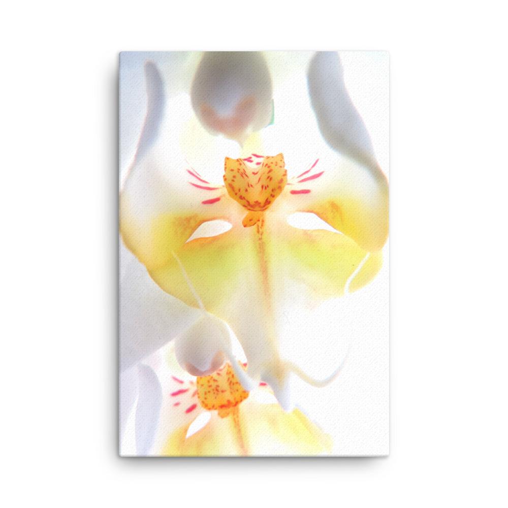 Yellow Orchid - Leinwand Kuratoren von artlia 61x91 cm artlia