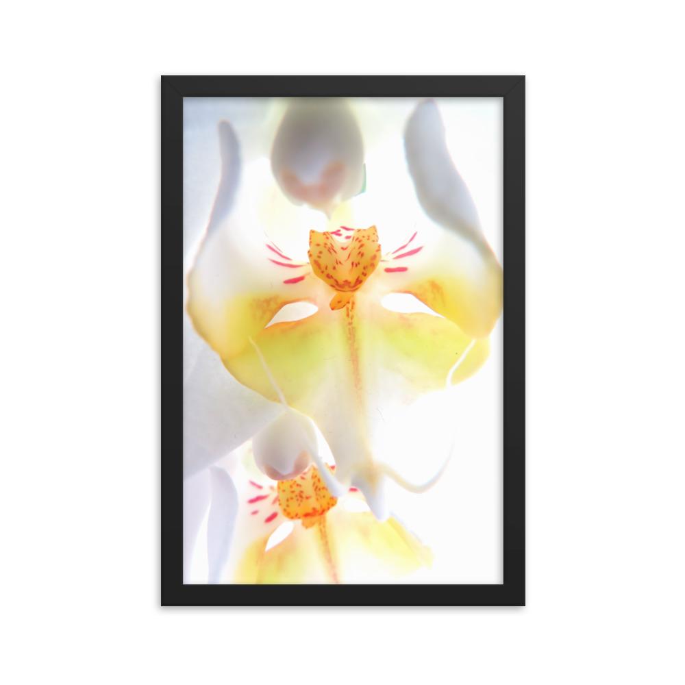 Yellow Orchid - Poster im Rahmen Kuratoren von artlia schwarz / 30x45 cm artlia