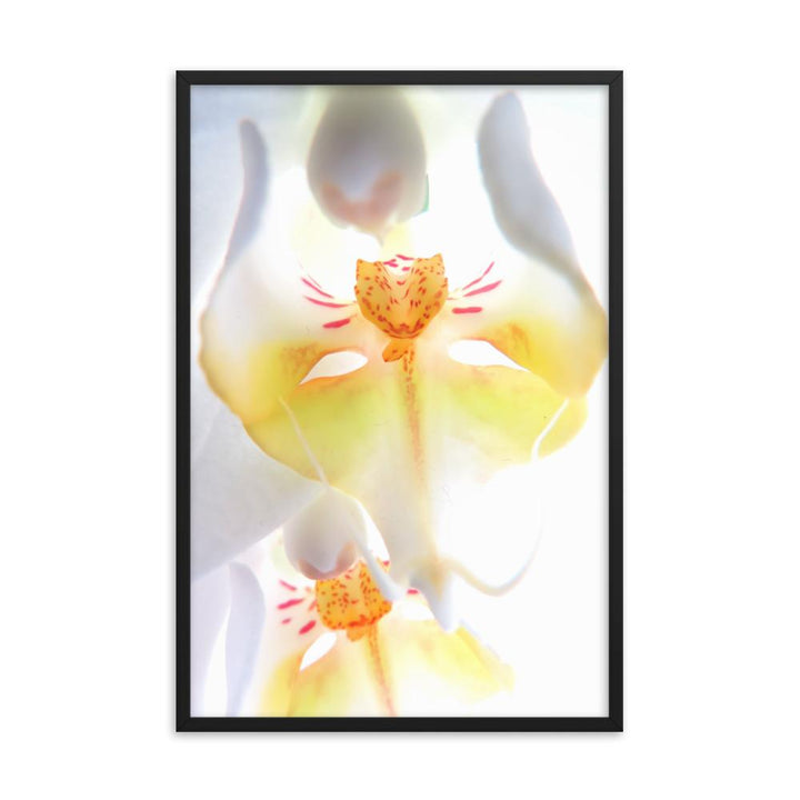 Yellow Orchid - Poster im Rahmen Kuratoren von artlia schwarz / 61x91 cm artlia