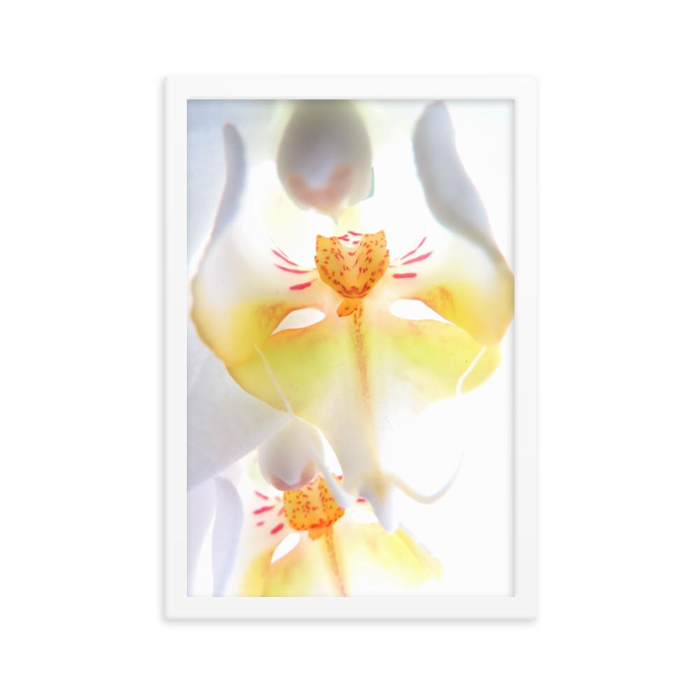 Yellow Orchid - Poster im Rahmen Kuratoren von artlia weiß / 30x45 cm artlia
