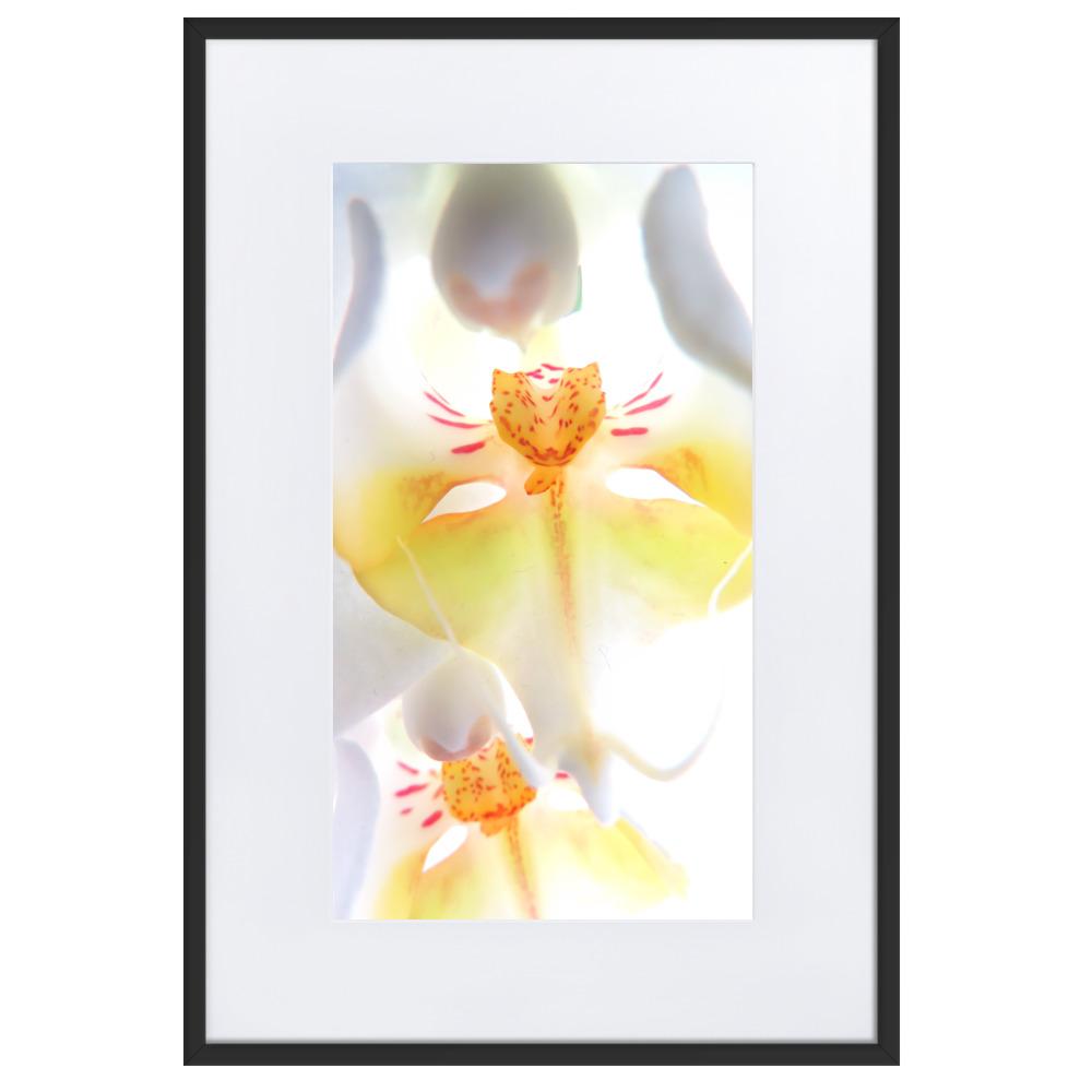 Yellow Orchid - Poster im Rahmen mit Passepartout Kuratoren von artlia artlia
