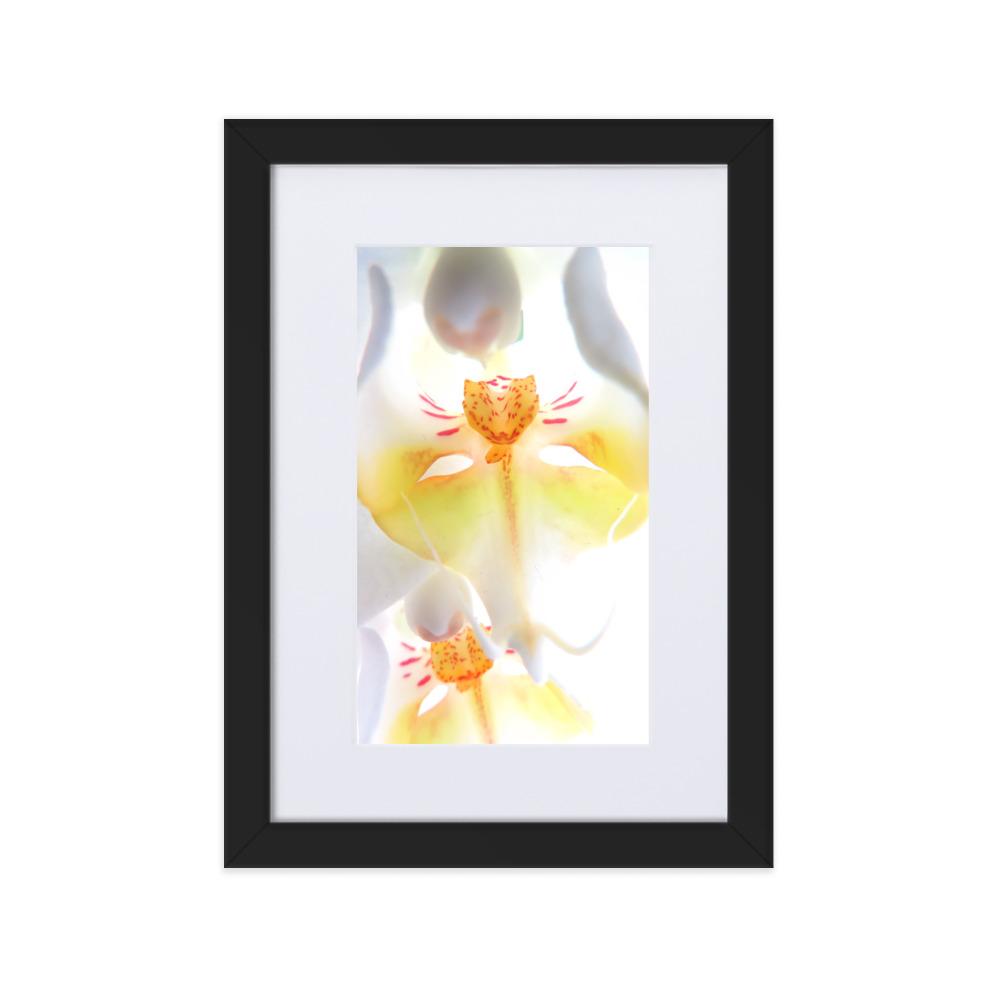 Yellow Orchid - Poster im Rahmen mit Passepartout Kuratoren von artlia schwarz / 21×30 cm artlia