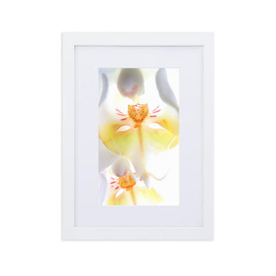 Yellow Orchid - Poster im Rahmen mit Passepartout Kuratoren von artlia weiß / 21×30 cm artlia