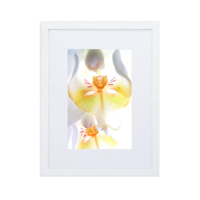 Yellow Orchid - Poster im Rahmen mit Passepartout Kuratoren von artlia weiß / 30×40 cm artlia