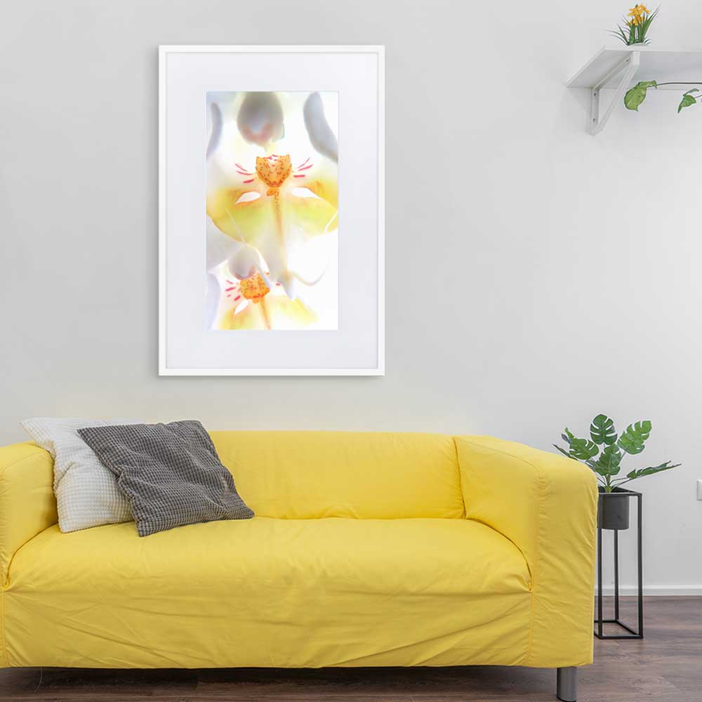 Yellow Orchid - Poster im Rahmen mit Passepartout Kuratoren von artlia weiß / 61×91 cm artlia