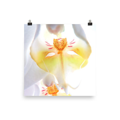 Yellow Orchid - Poster Kuratoren von artlia 25x25 cm artlia